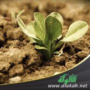 ثمار التوبة النصوح