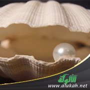 عفة النفس