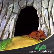 كهف ولا كلب