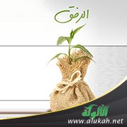الرفق