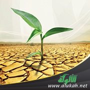 الوقف من منظور اقتصادي