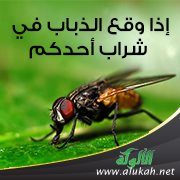 شرح حديث: إذا وقع الذباب في شراب أحدكم فليغمسه ثم لينزعه