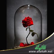الفتاة والبلوغ