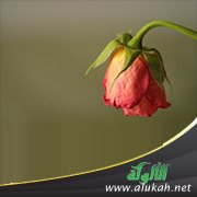 زوج لا يحب زوجته