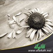 طلبت الطلاق وطلقني