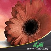 للعفة تاريخ ثقافي عند العرب والمسلمين