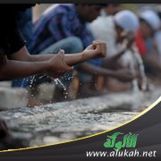 شرح حديث: توضأ نحو وضوئي هذا
