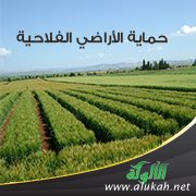 حماية الأراضي الفلاحية