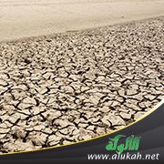 الجفاف من منظور اقتصادي