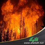 حرائق الغابات: هل تعلم أن إطفاءها يعتمد على (احرق لتنطفئ)؟ خذ لك فكرة!