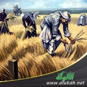 مكانة الفلاح في المجتمع الريفي في بلاد الشام عصر المماليك