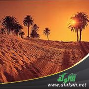 حلقات مفقودة في بناء النهضة