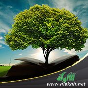 أقوال الأئمة في تفسير معنى الحكمة