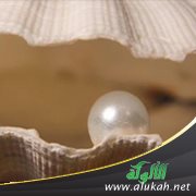 أريد تزويج أختي لأعفها