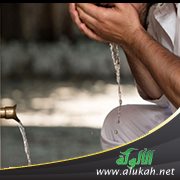 حديث في صفة الوضوء