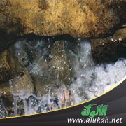 قصة ماء زمزم