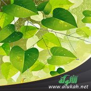 الإيمان بالرسل (للأطفال)