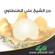 درر الشيخ علي الطنطاوي (17)