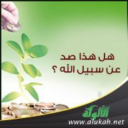 هل هذا صد عن سبيل الله ؟