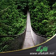 هل الأمم التي مسخت قردة وفئرانا تناسلت وتوالدت؟