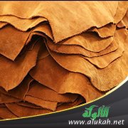 حديث: دباغه طهوره