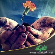 كيف أسامح أبي وأحبه؟