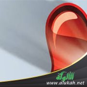 التربية الإسلامية وحب الوطن