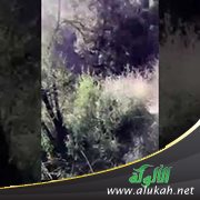 شرح حديث: اتقوا الملاعن الثلاثة