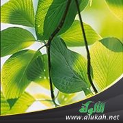 فابتغوا عند الله الرزق (خطبة)