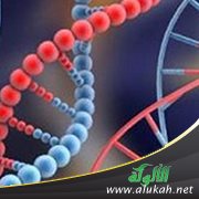 زواج الأقارب وتشوه الجنين
