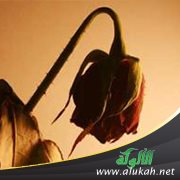 أبي يعضلني ويمنعني من الزواج