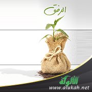 الترغيب في الرفق
