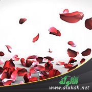 مشكلتي مع صديقتي