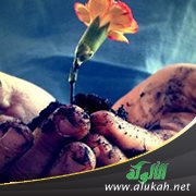 النية والإخلاص في العمل