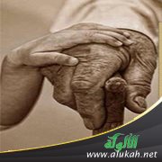 بر الأب