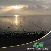 وجدته بحرا