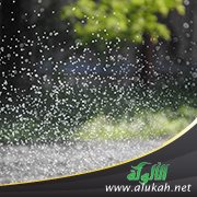 عندما تمطر يزهر الورد