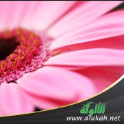 كلمات عن التواضع