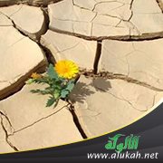 الظنون في النفس المؤمنة