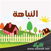 النباهة