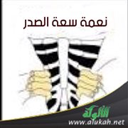 نعمة سعة الصدر