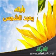 رأيته يعبد الشمس