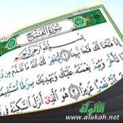 خواطر حول سورة الفتح (4) عدد آياتها ومكيها ومدنيها
