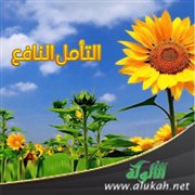 التأمل النافع