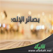 بصائر الإله!