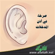 صرخة في أذن المدخلات