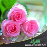 نصائح للنساء في حياتهن الزوجية