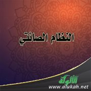 النظام الصائتي