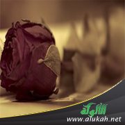 أحب طليقي رغم زواجي من غيره