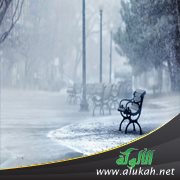 أشعر بالوحدة مع زوجي